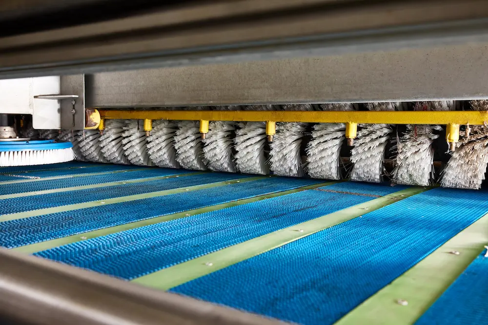 قالیشویی شریعتی